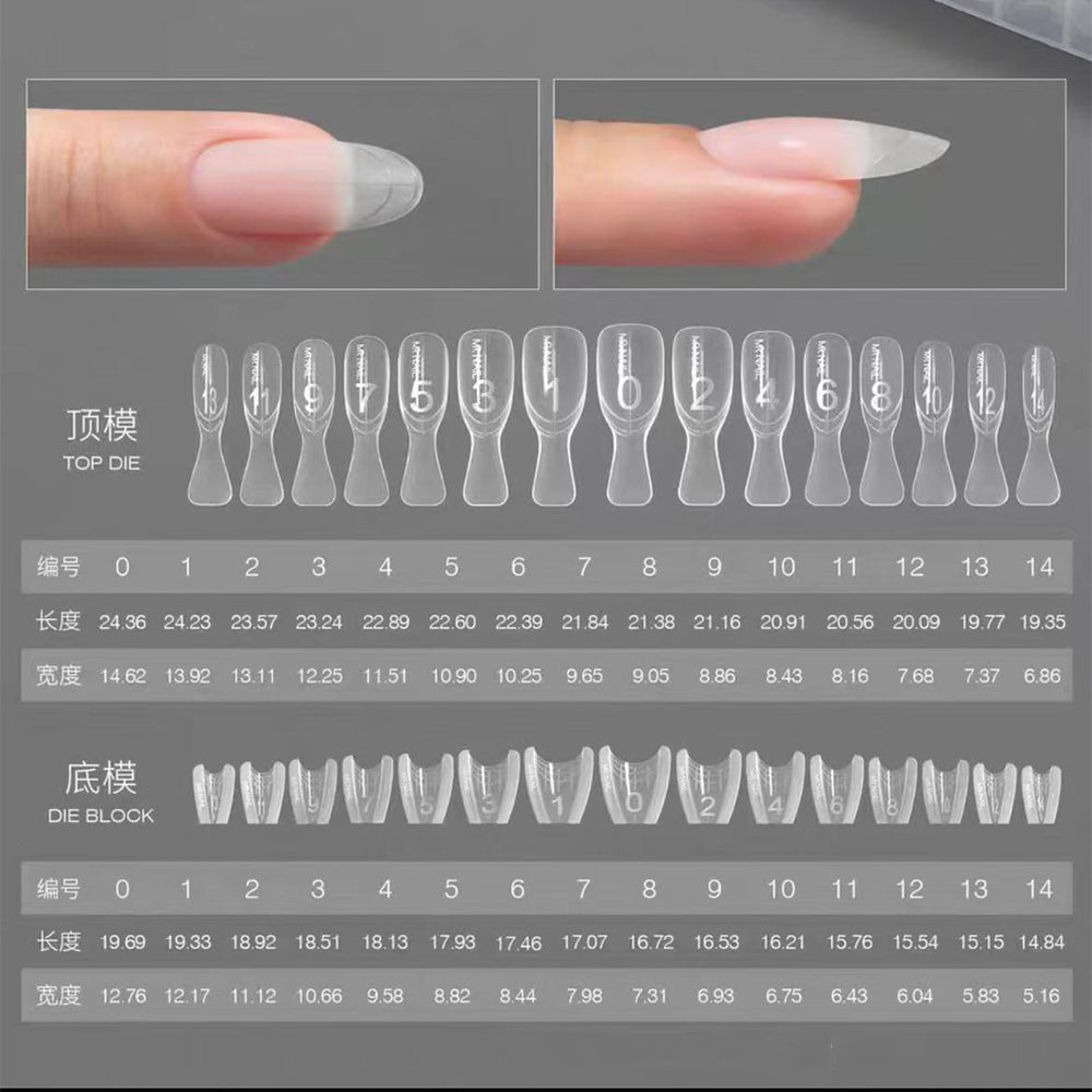 240pcs Sandwich Dual Nail Form